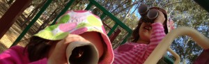 morialta-park eavesdropping on adelaide