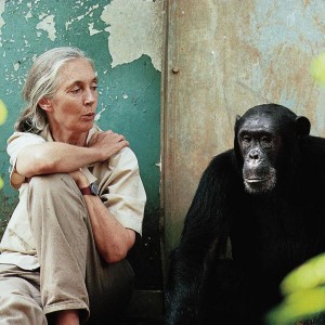 Jane-Goodall-and-Freud