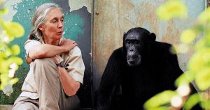 Jane-Goodall-and-Freud