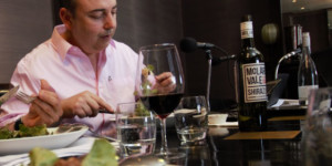 Shingleback 2013 McLaren Vale South Coast Shiraz