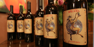 2013 The Joker Kalimna Shiraz on the Adelaide Show