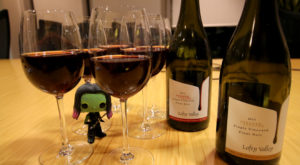 Lofty Valley Wines Steeped Pinot Noir tasting notes Adelaide Show Podcast