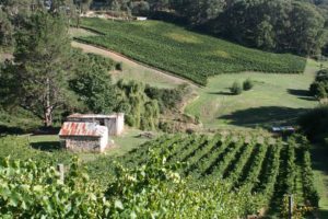 Lofty Valley Wines stone mansion The Adelaide Show Podcast