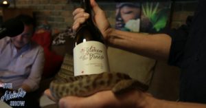 Between The Vines 2013 Tempranillo Adelaide Hills on The Adelaide Show Podcast