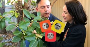 The food bug and the social media bug for The Adelaide Show Podcast 215