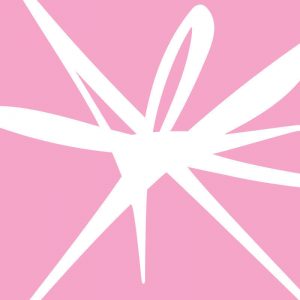 The Alternative Comedy Festival
