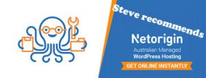 Steve recommends NetOrigin web hosting