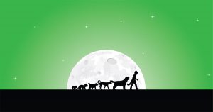 The Boy Who Talked To Dogs