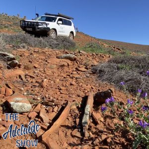 318 - A range of stories from the Flinders Ranges - The Adelaide Show Podcast