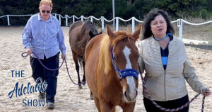 360 - Horse Riding and Horse Loving Around Adelaide