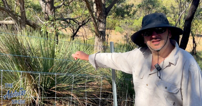 390 - James Rolevink Protecting Native Plants From Kangaroos In The Adelaide Hills