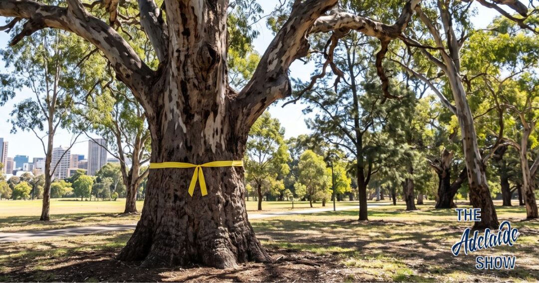 Is Peter Malinauskas A Liberal Party Asset? Episode 438 of The Adelaide Show Podcast